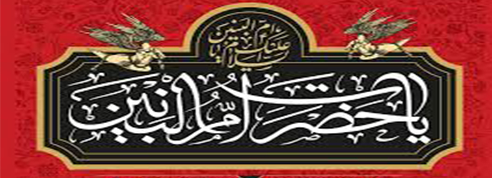 داده پردازی راشین آریا